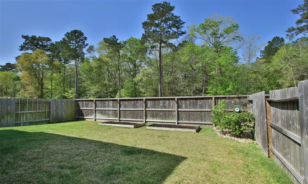 177 Emory Birch Drive Montgomery, TX 77316