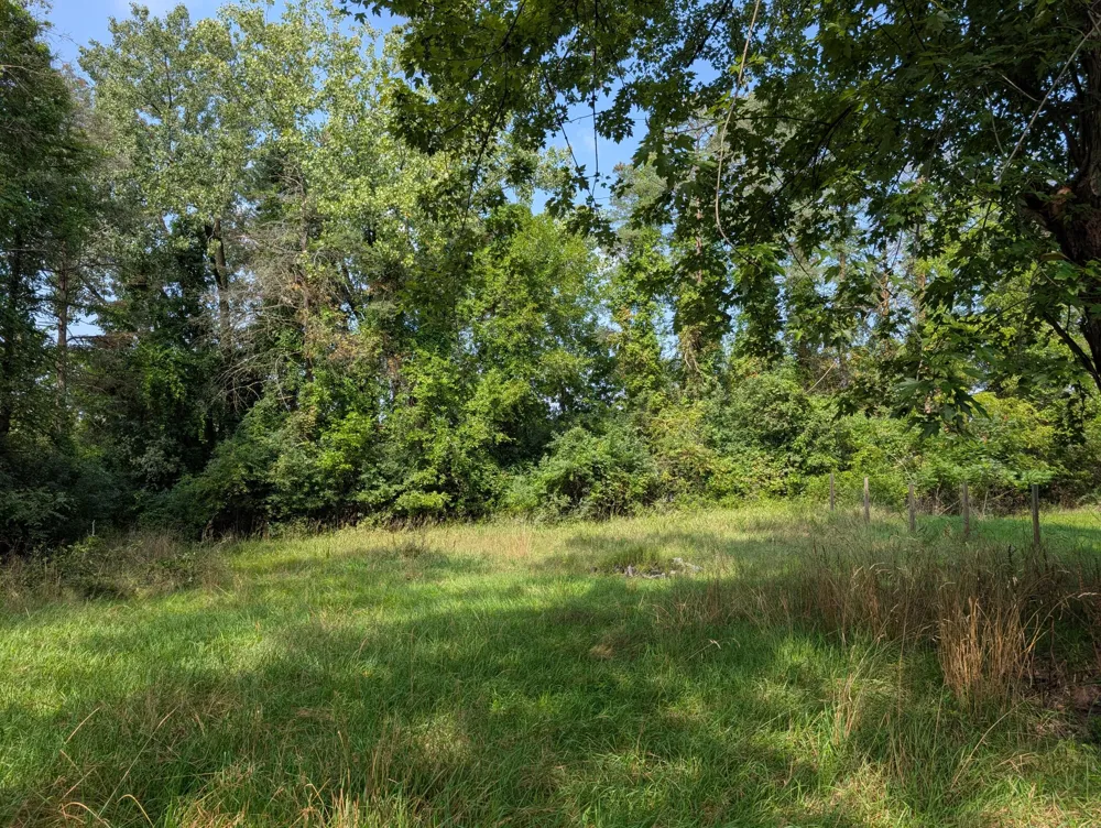 8645 Bellevue Road Battle Creek, MI 49014