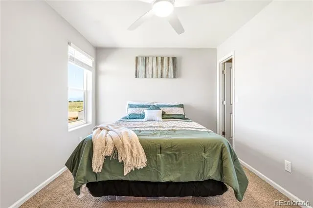 7253 Shavano Avenue Frederick, CO 80504