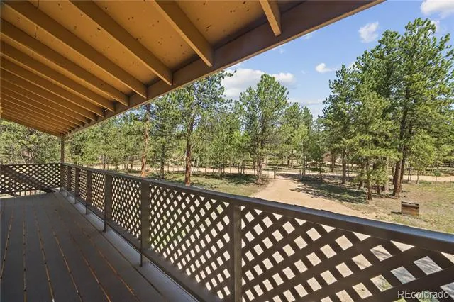 96 Gunsmoke Drive Bailey, CO 80421