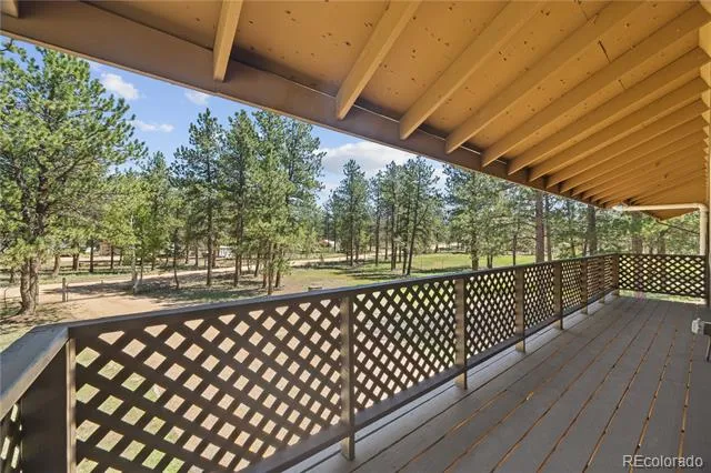 96 Gunsmoke Drive Bailey, CO 80421