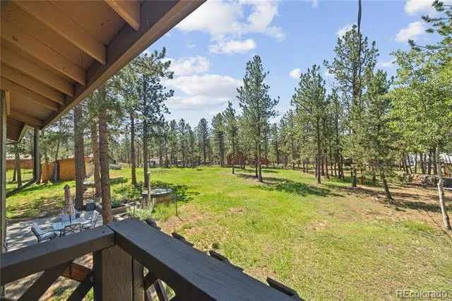96 Gunsmoke Drive Bailey, CO 80421