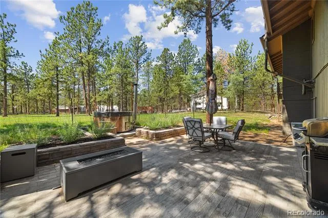 96 Gunsmoke Drive Bailey, CO 80421