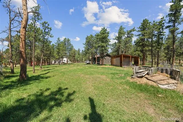 96 Gunsmoke Drive Bailey, CO 80421