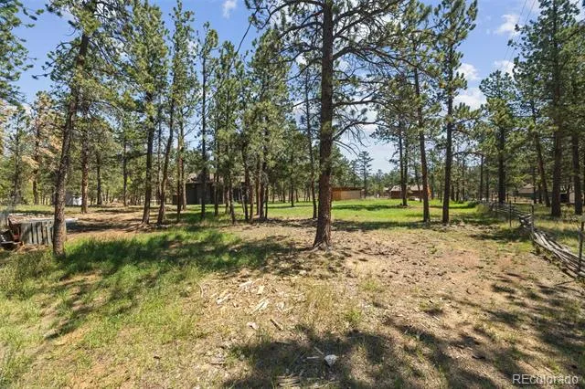 96 Gunsmoke Drive Bailey, CO 80421