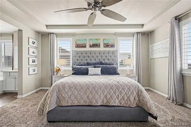 17297 Leisure Lake Drive Monument, CO 80132