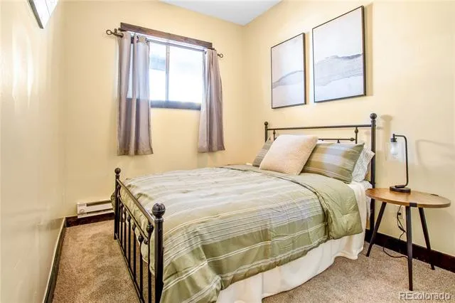 427 W 3rd Street Leadville, CO 80461