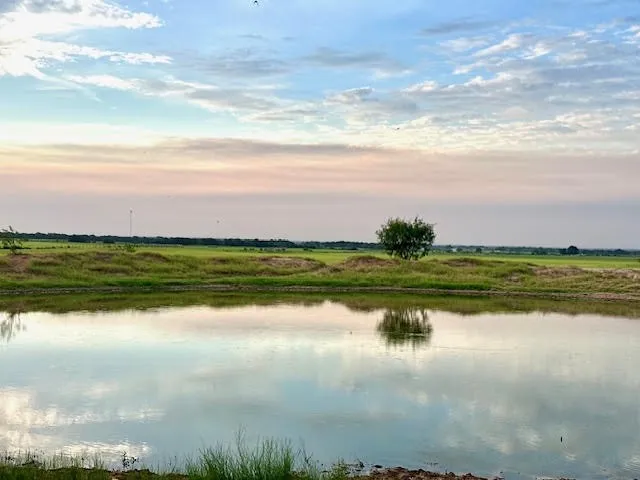 9484 State Highway 36 E Cross Plains, TX 76443