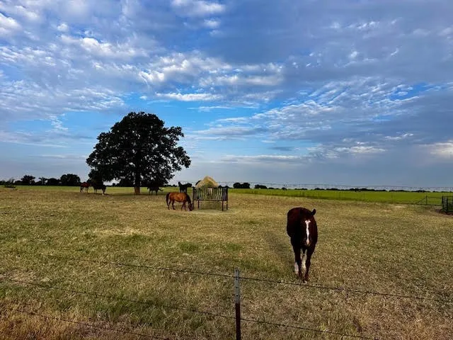 9484 State Highway 36 E Cross Plains, TX 76443