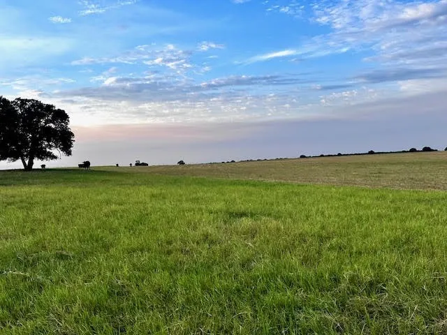 9484 State Highway 36 E Cross Plains, TX 76443