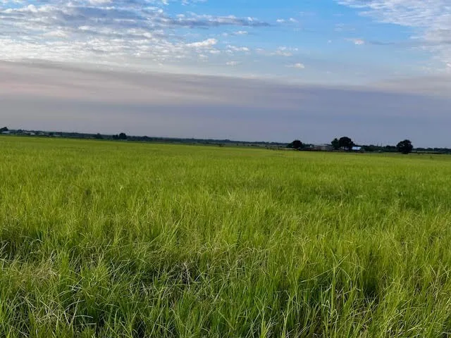 9484 State Highway 36 E Cross Plains, TX 76443