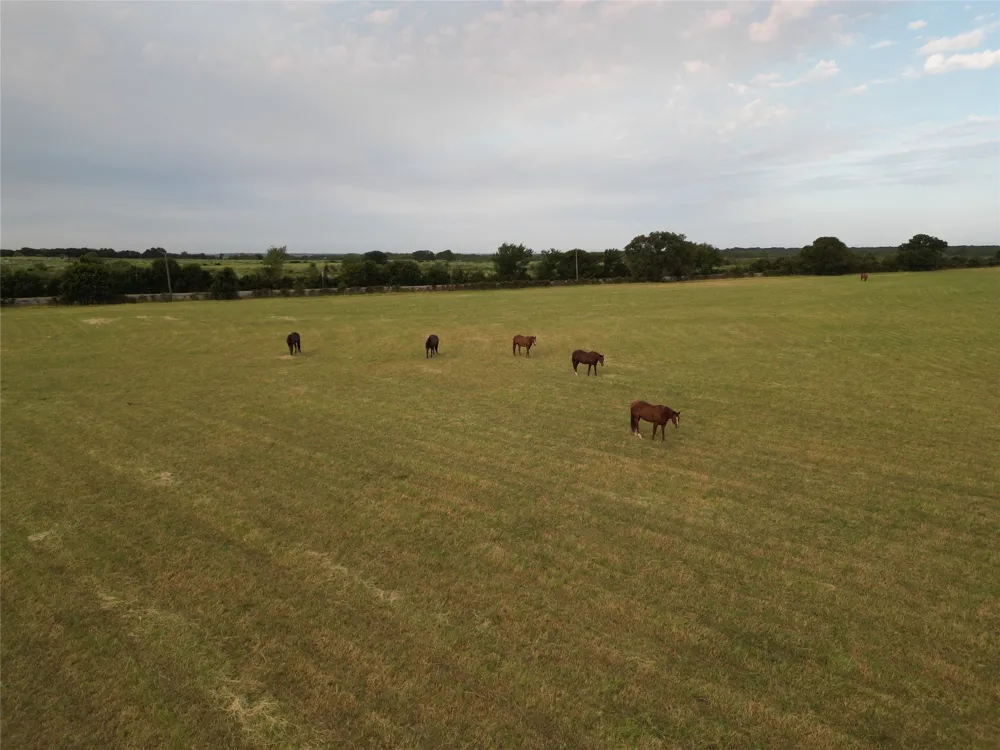 9484 State Highway 36 E Cross Plains, TX 76443