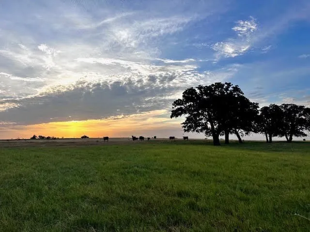 9484 State Highway 36 E Cross Plains, TX 76443