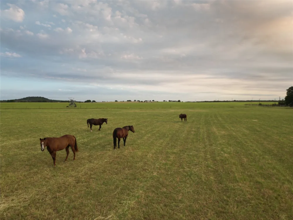 9484 State Highway 36 E Cross Plains, TX 76443
