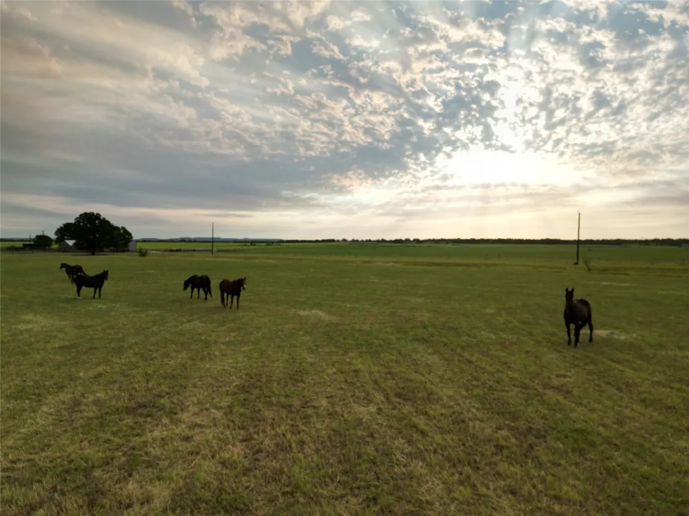9484 State Highway 36 E Cross Plains, TX 76443
