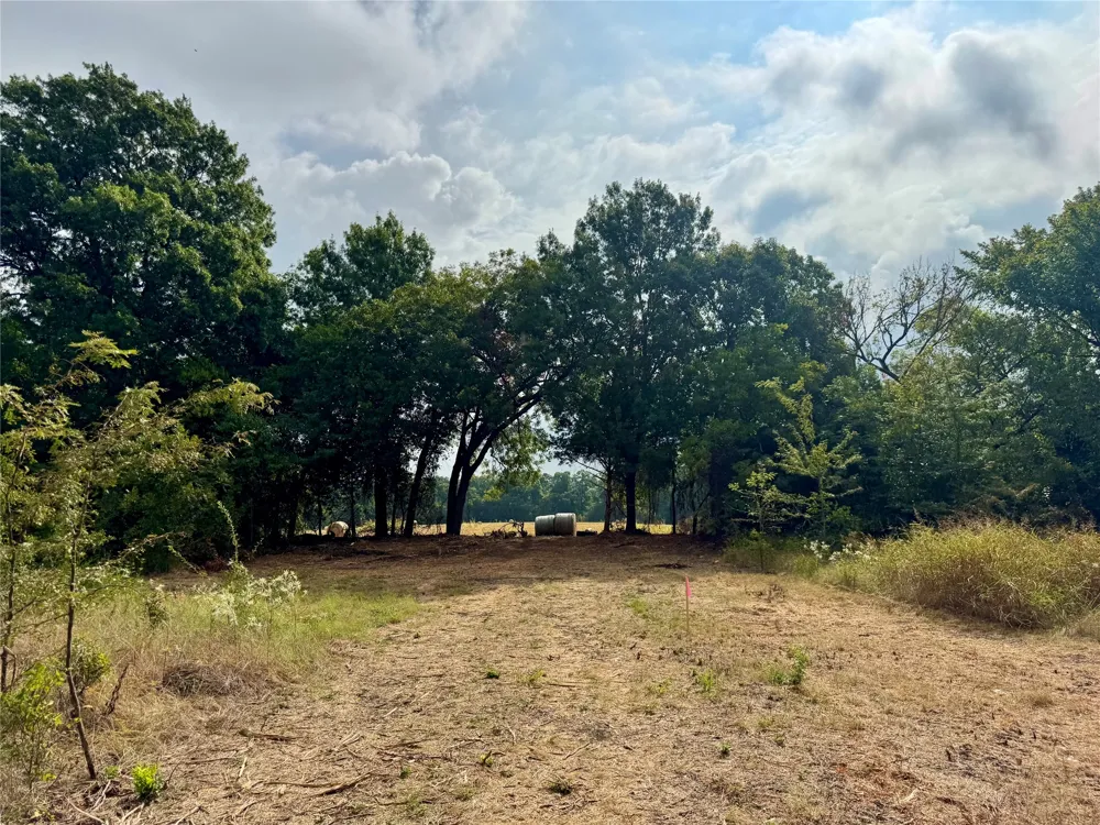 LOT 21 CR 3356 Anna, TX 75409