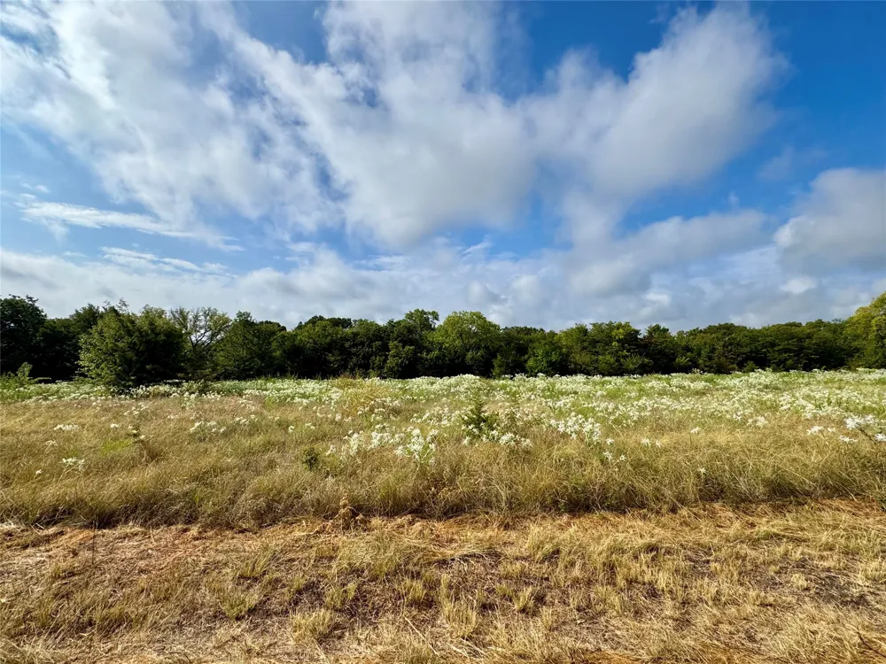 LOT 21 CR 3356 Anna, TX 75409