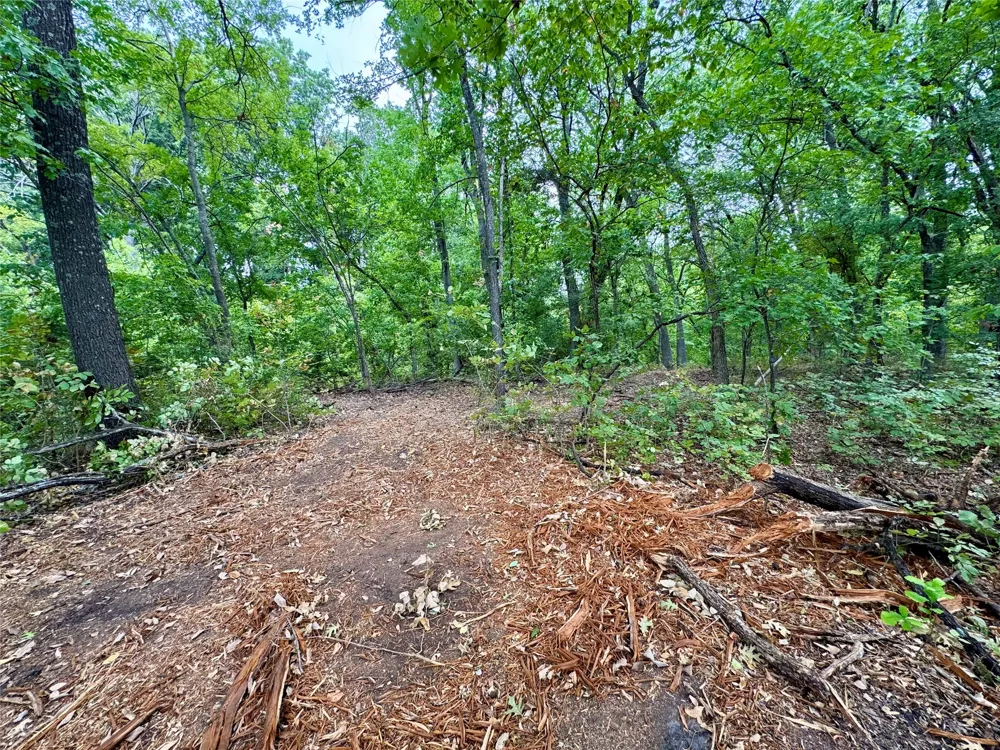 LOT 21 CR 3356 Anna, TX 75409