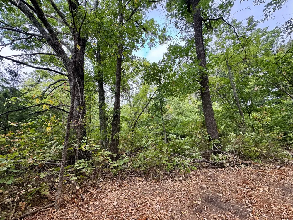 LOT 21 CR 3356 Anna, TX 75409