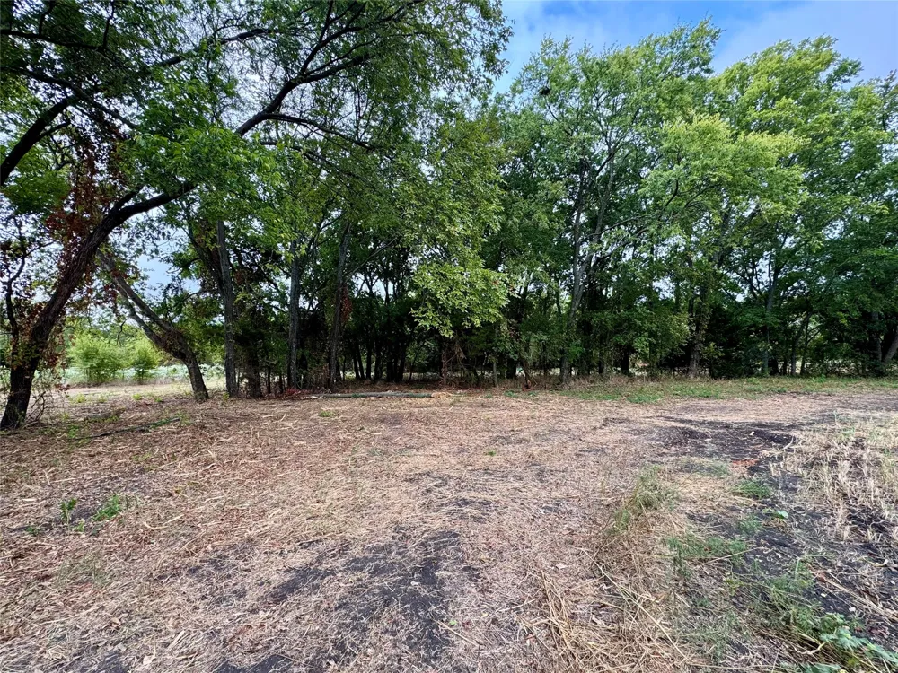 LOT 21 CR 3356 Anna, TX 75409