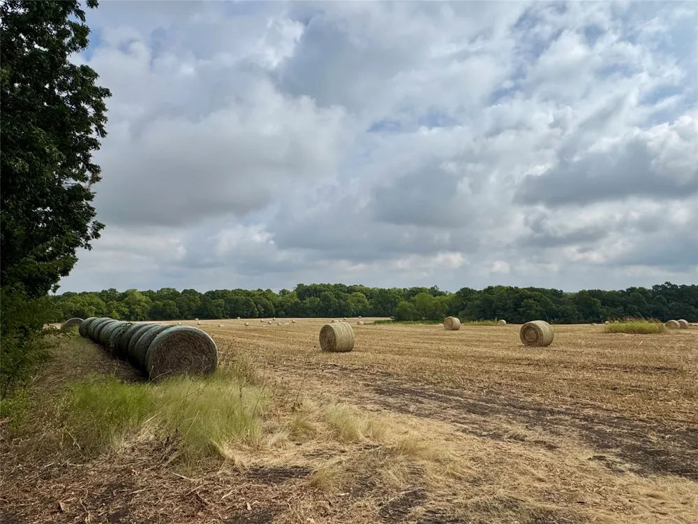 LOT 21 CR 3356 Anna, TX 75409