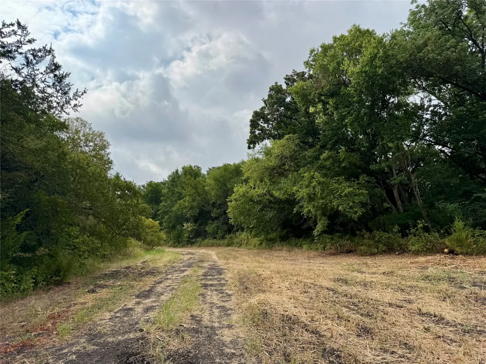 LOT 21 CR 3356 Anna, TX 75409