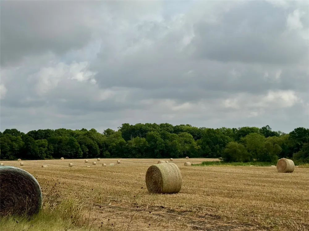 LOT 21 CR 3356 Anna, TX 75409