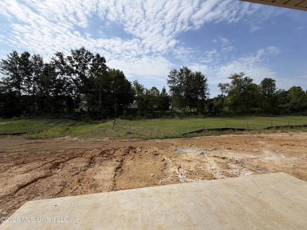 344 Brookfield Circle Brandon, MS 39042