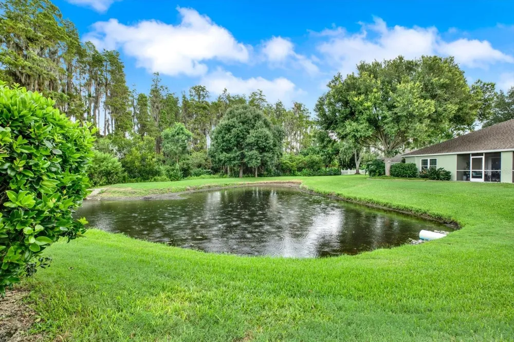 19144 WEYMOUTH DRIVE Land O Lakes, FL 34638