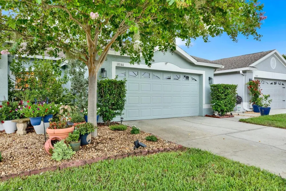 19144 WEYMOUTH DRIVE Land O Lakes, FL 34638