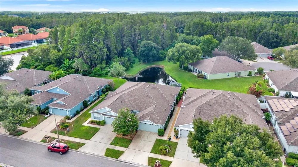 19144 WEYMOUTH DRIVE Land O Lakes, FL 34638