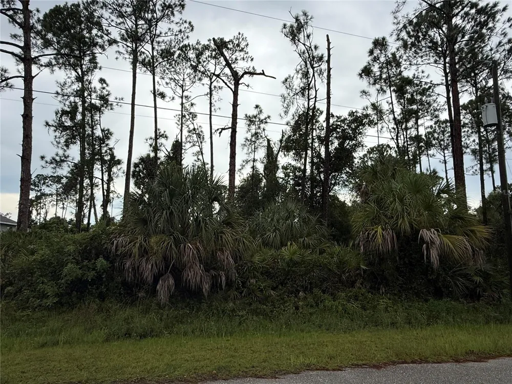 Lot 2 TITAN STREET North Port, FL 34286