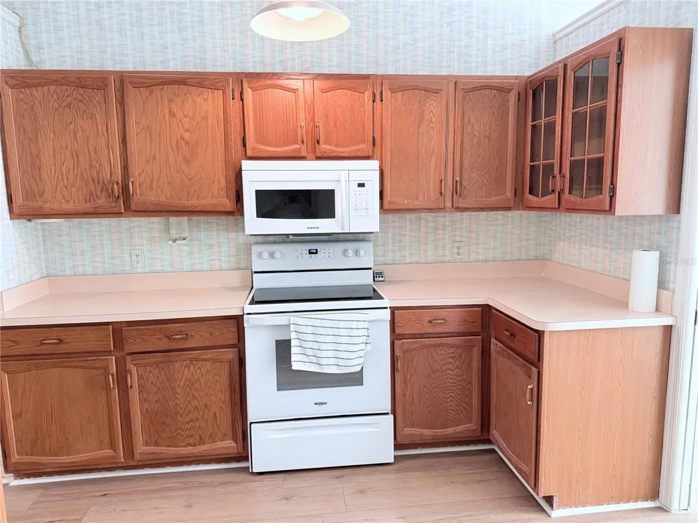 13928 TENNYSON DRIVE Hudson, FL 34667