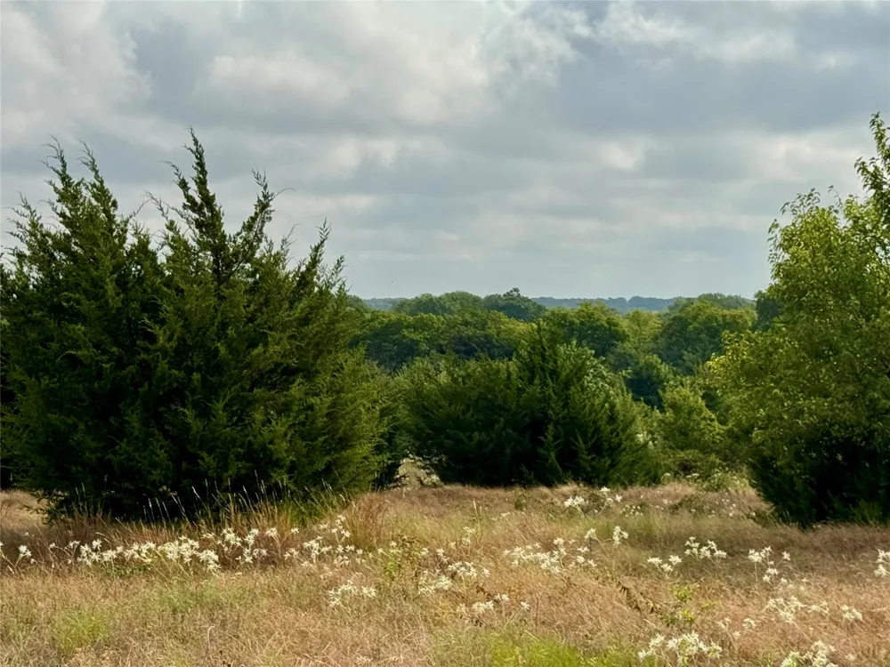 LOT 2 CR 3356 Anna, TX 75409