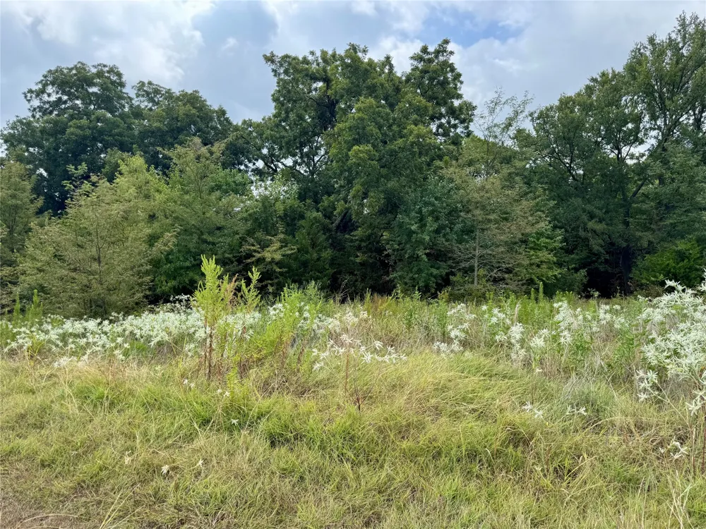 LOT 2 CR 3356 Anna, TX 75409