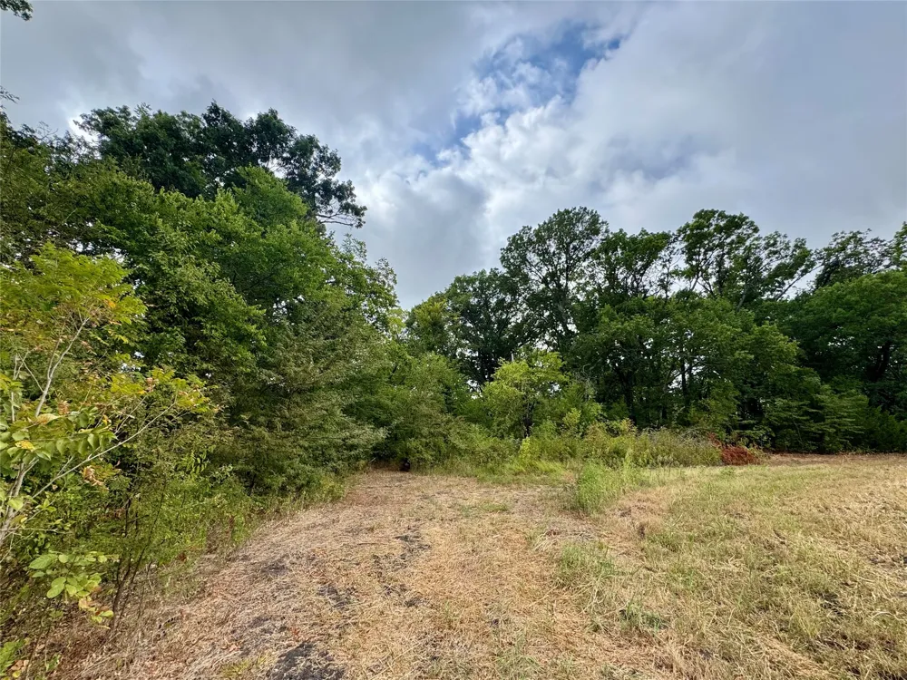 LOT 2 CR 3356 Anna, TX 75409