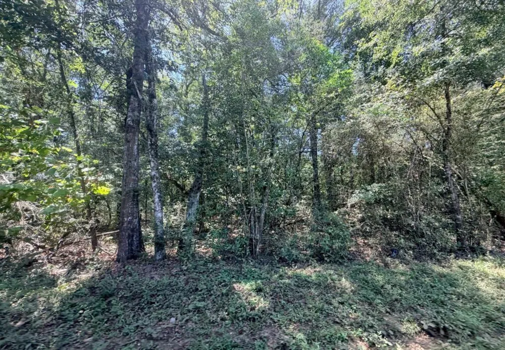 6 County Road 3103 Call, TX 75933