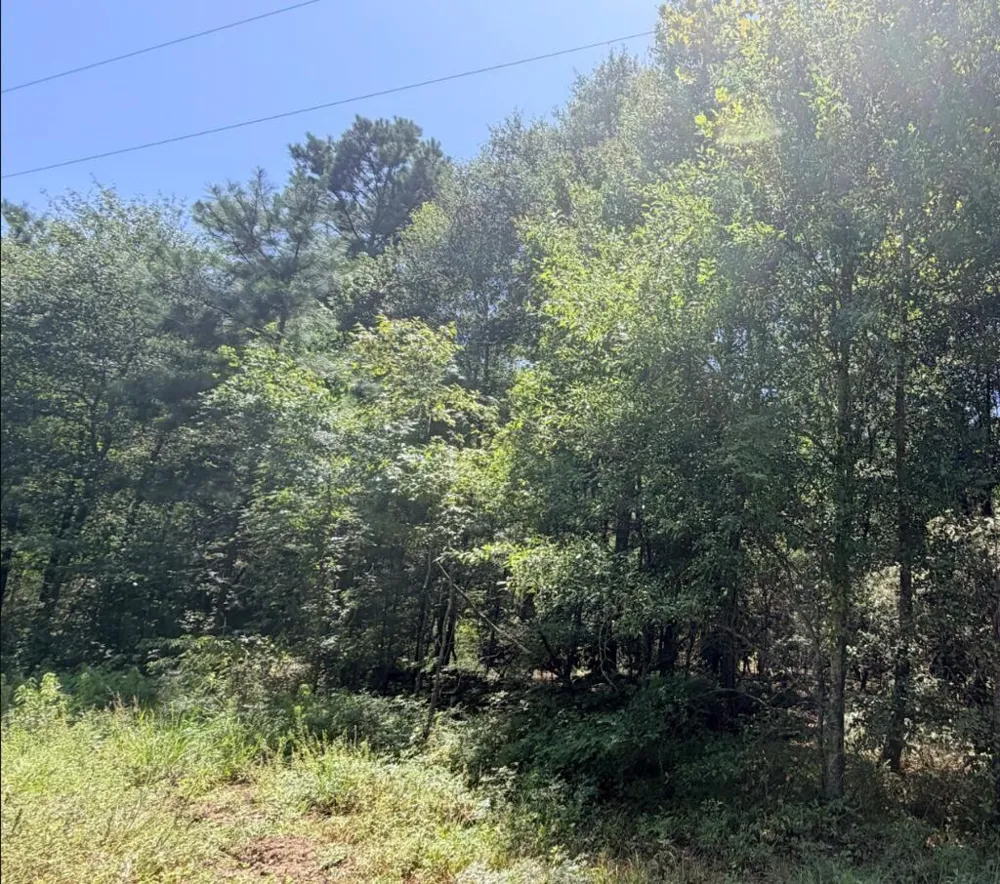 6 County Road 3103 Call, TX 75933