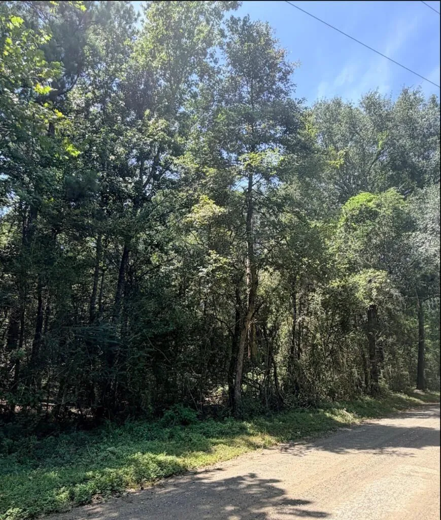6 County Road 3103 Call, TX 75933