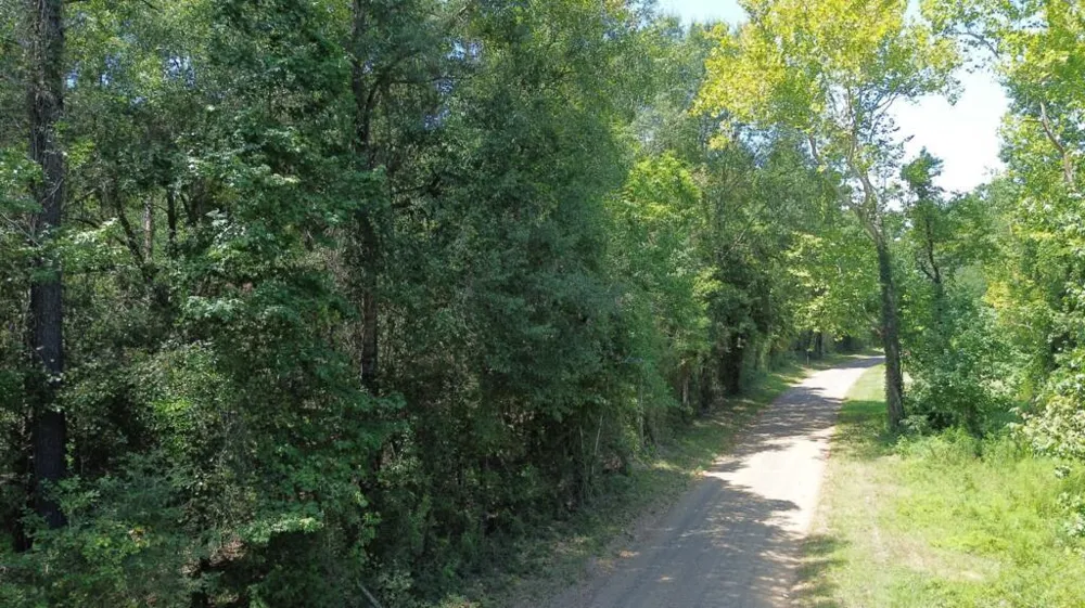 6 County Road 3103 Call, TX 75933