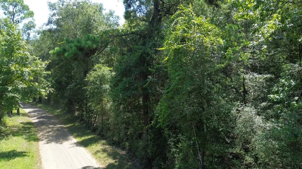 6 County Road 3103 Call, TX 75933
