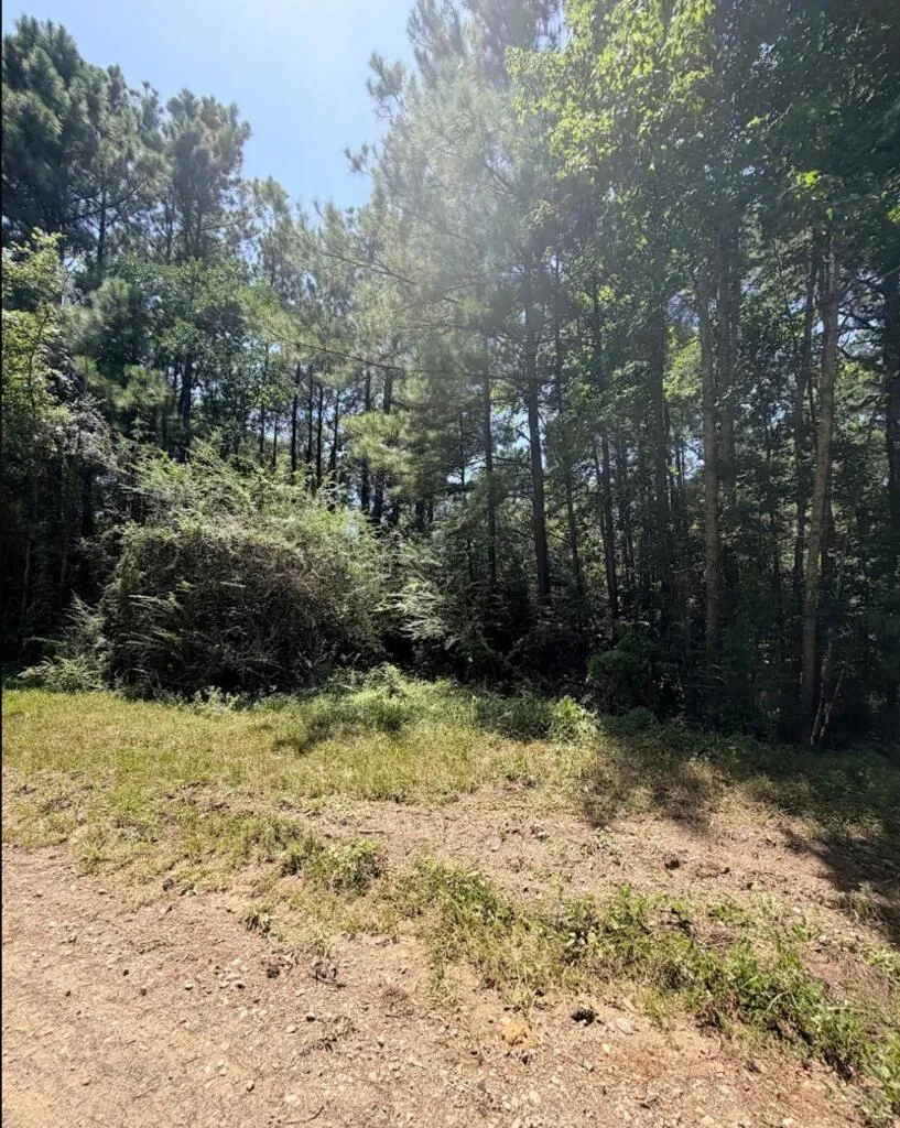 6 County Road 3103 Call, TX 75933