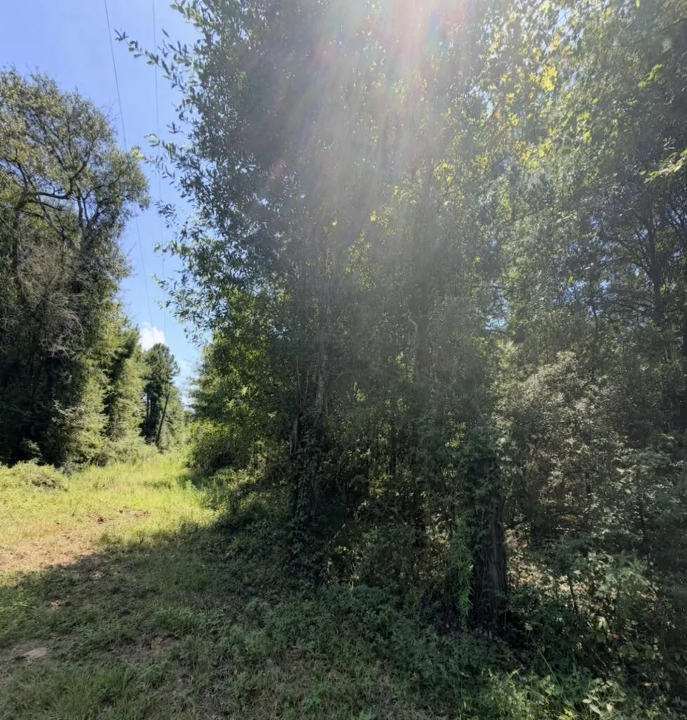 6 County Road 3103 Call, TX 75933