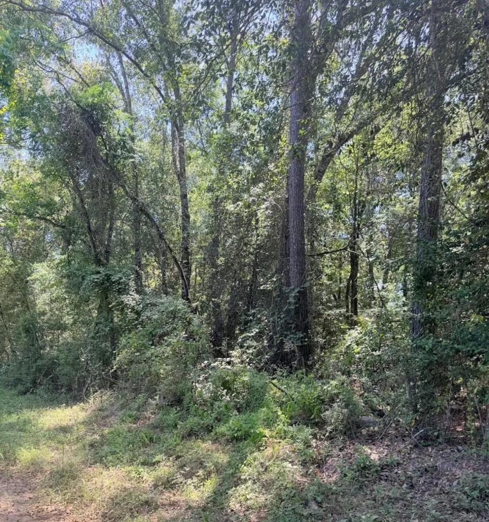 6 County Road 3103 Call, TX 75933