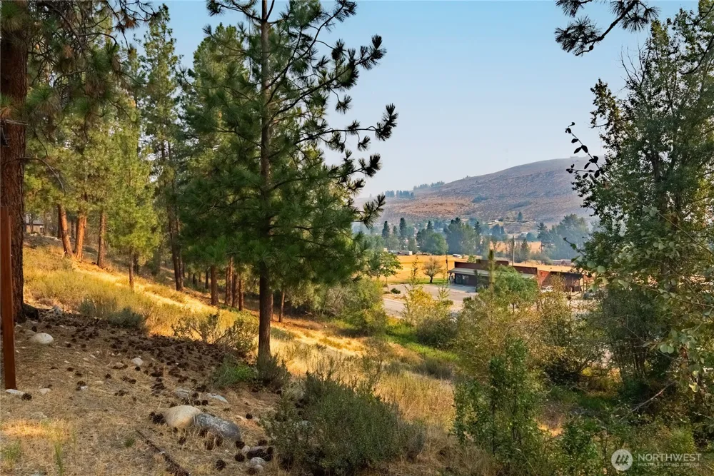 202 Cascadian Way #3 Winthrop, WA 98862