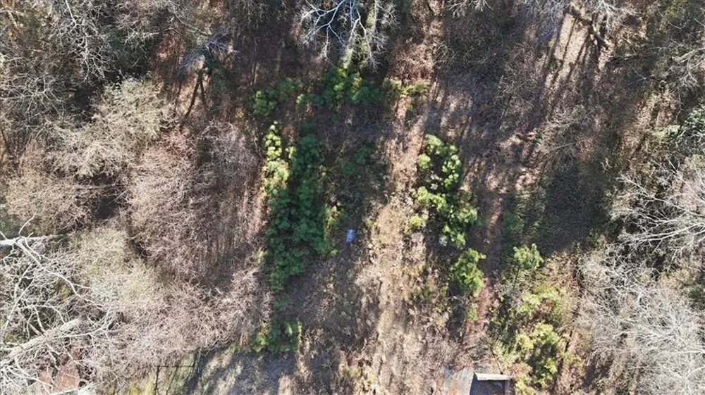 36 Coventry Drive SE Rome, GA 30161