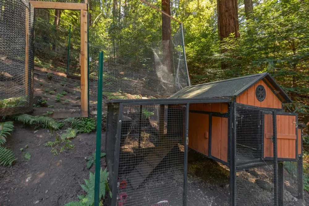 620 Mystery Spot Road Santa Cruz, CA 95065