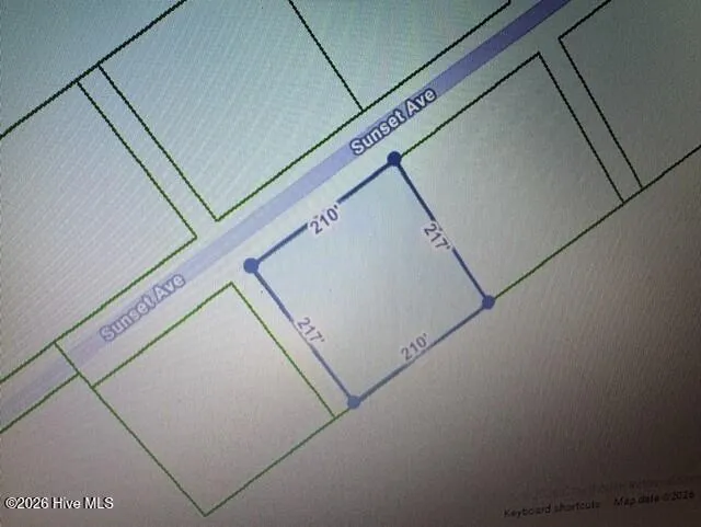 Lot 4 Sunset Road Willard, NC 28478