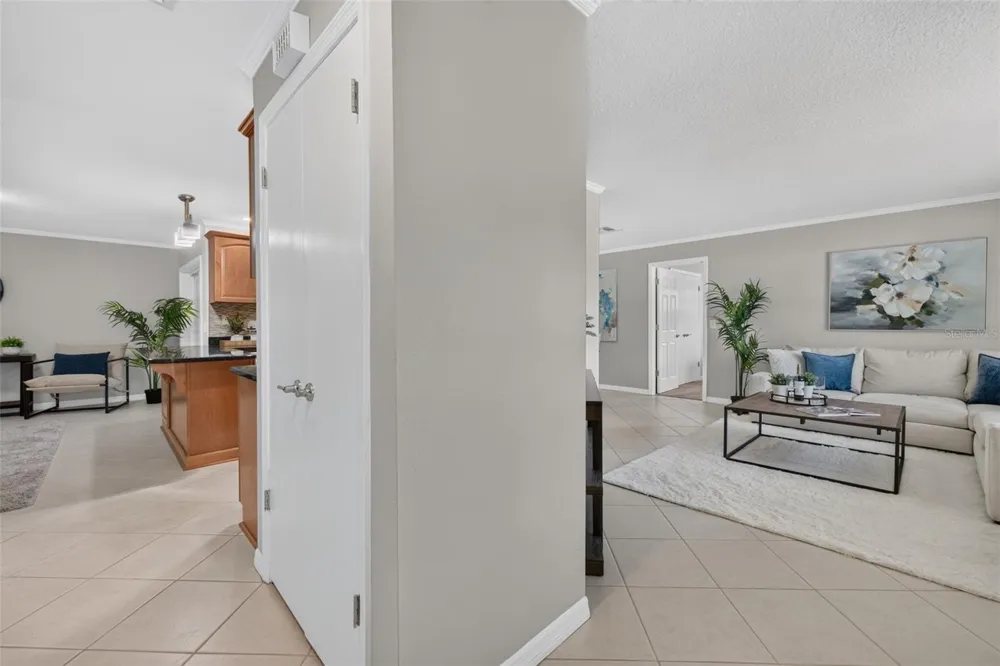 3250 LAUREL DRIVE Mount Dora, FL 32757
