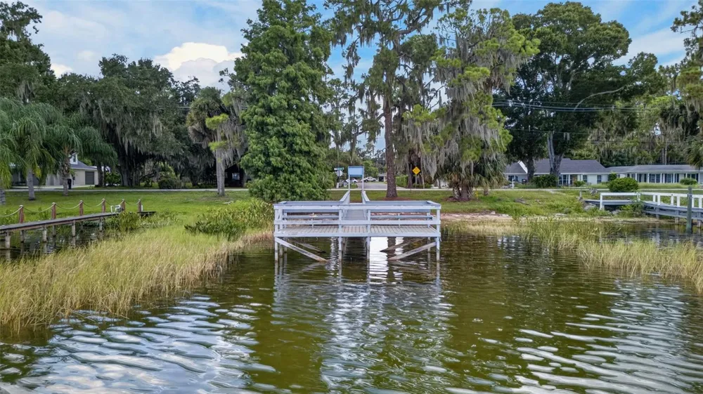 3250 LAUREL DRIVE Mount Dora, FL 32757